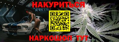 индика Рузаевка