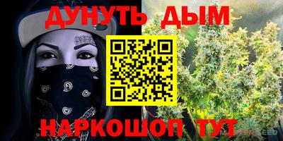 индика Рузаевка