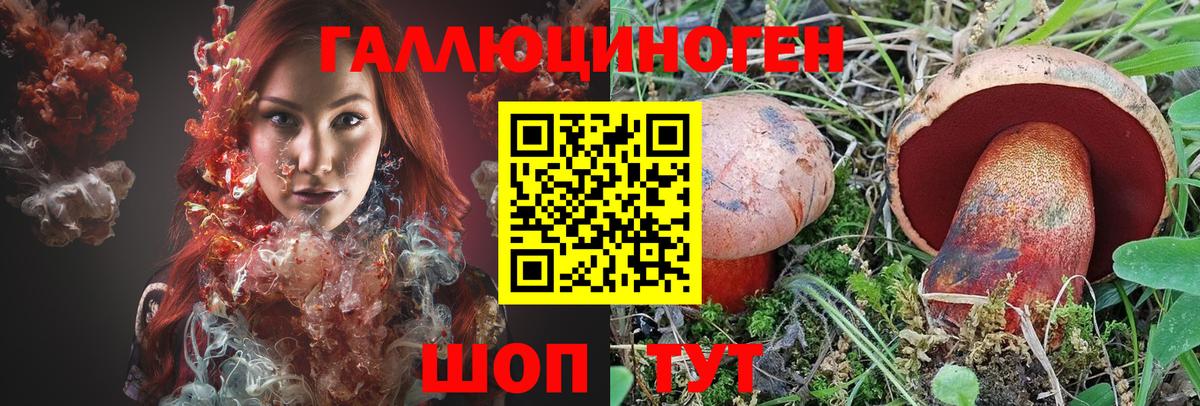 Псилоцибиновые грибы Psilocybe  Вход с VPN  закладка  Галлюциногенные грибы прущие грибы  Нурлат 